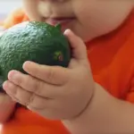 Sund mad i børnehøjde: Hurtige hverdagsretter hele familien gider spise